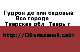 Гудрон де пин садовый - Все города  »    . Тверская обл.,Тверь г.